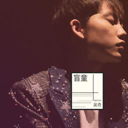 我再也不需要你们说的那种虚伪的关心是什么歌,盲童歌曲介绍