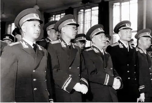 学校师长是什么意思，第五人格厨师长是什么意思