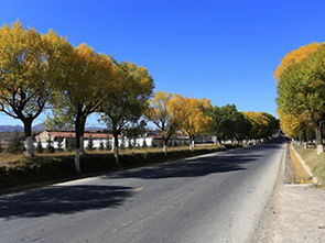 固原市气象台发布寒潮橙色预警[II级/严重]