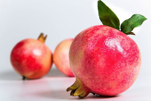 石榴的英语是什么