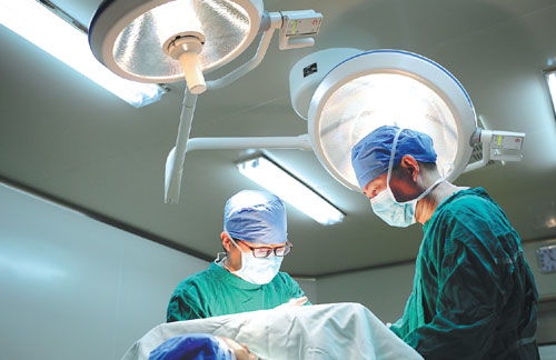 breast翻译，breast中文翻译