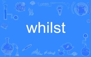 whilst翻译，whilst造句