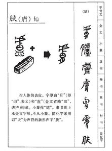 肚组词组，昧组词