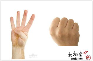 五个手指头对应的五脏，五个手指头介绍