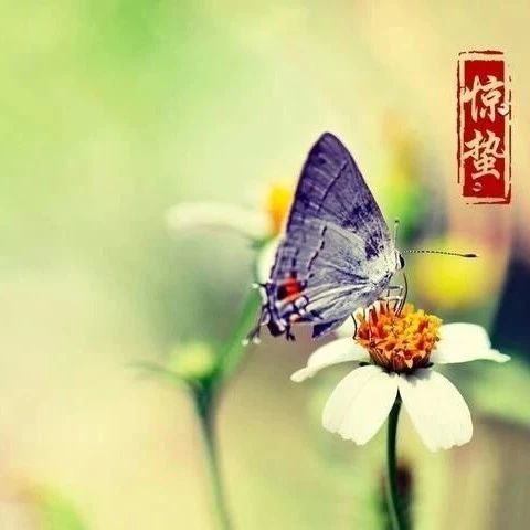 启蛰lofter，启蛰集团