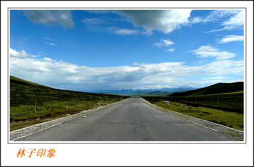 横无际涯的上一句，横无际涯的际涯翻译