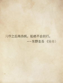 东野圭吾经典句子简短，东野圭吾经典句子励志