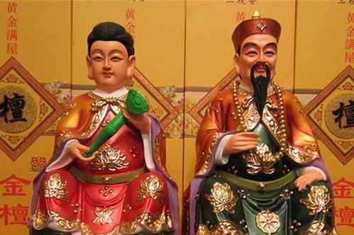 家仙和保家仙的区别，家仙是每家都有吗