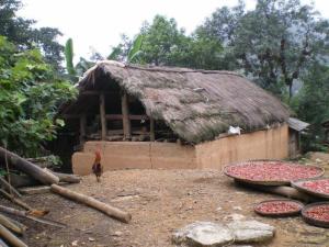鲁村纯粮酒42度价格，鲁村的由来