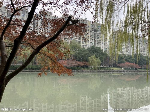 小河边玩耍的作文，小河边玩耍的优美句子