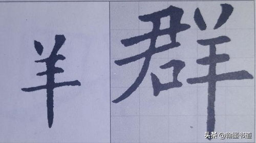 寸字旁的字有哪些?
