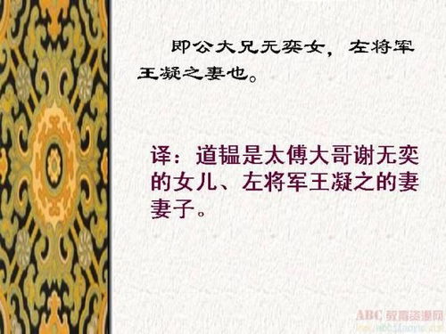 翻译古文《世说新语 言语》(钟毓,钟会少有令誉。。)