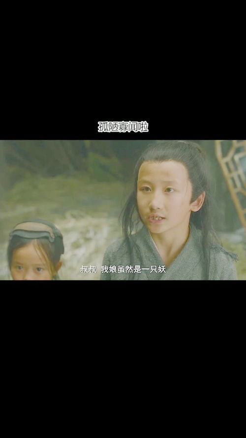 孤陋寡闻是什么生肖，孤陋寡闻歌曲