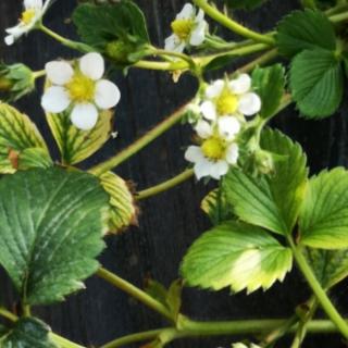 题许道宁画尾联的含义,作者对这幅画有什么样的评价