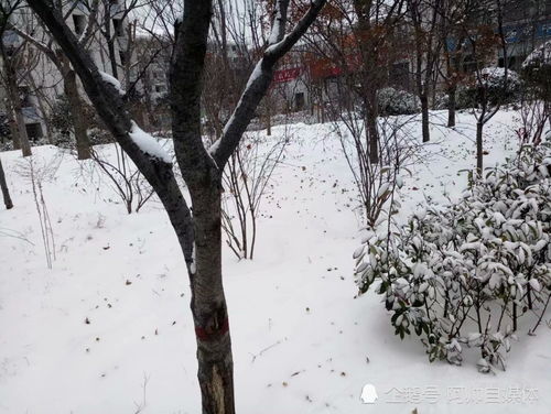 寒风瑟瑟唯美句子，寒风瑟瑟又一载,望眼不见良人归