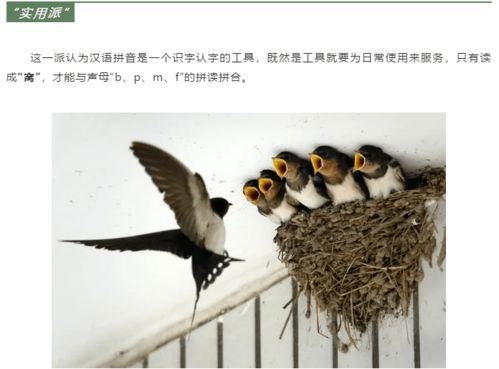 蜓怎么读音是什么