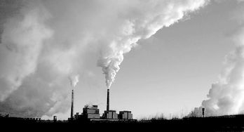 环境污染的事例