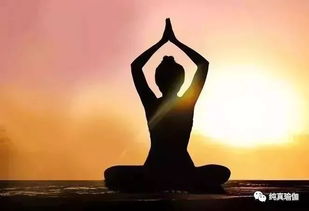 能量流瑜伽基本动作，能量流动