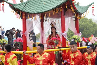 金蚕花怎么清洗.食用以及保存