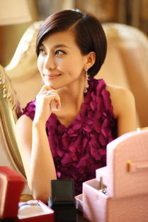 中盟世纪宋美遐背景