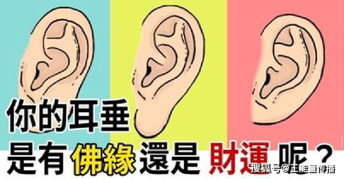 五大三粗的意思是什么