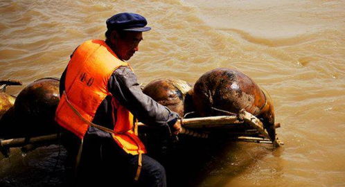 姿态的近义词语有哪些，担心的近义词