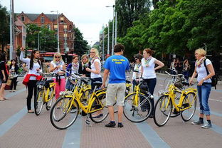 荷兰人是什么人种