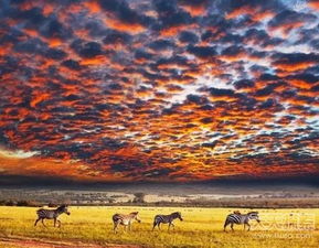 坦桑尼亚的英语翻译 坦桑尼亚用英语怎么说