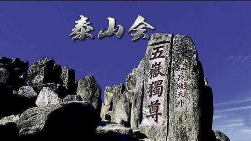 泰山会为什么被收拾，泰山会的16名成员名单