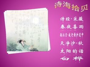 诗海拾贝手抄报内容资料大全