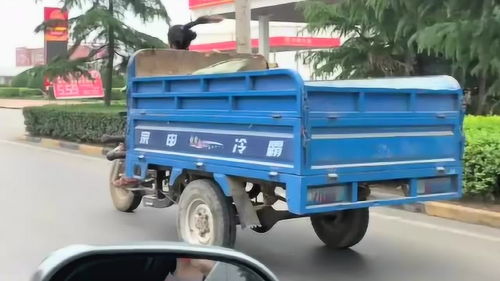 三轮车跑得快简谱，什么牌子的电动三轮车跑得快