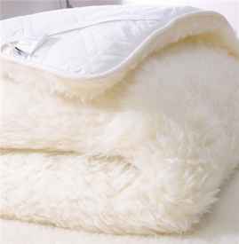 皮褥子的拼音狐皮褥子的拼音是什么