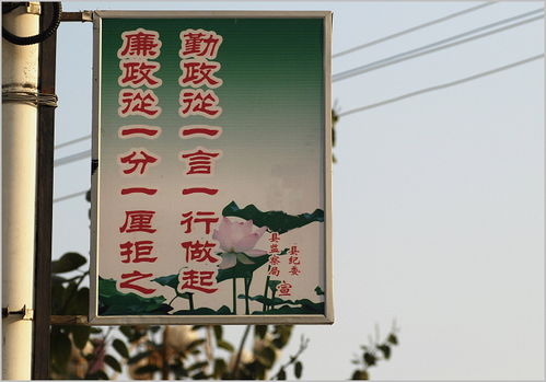 别致的致组词组词语，别致的致的组词