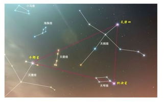 牛郎星属于哪个星座织女星属于哪个星座，牛郎星是属于哪个星座?