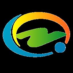 正奇数的集合，正奇集团