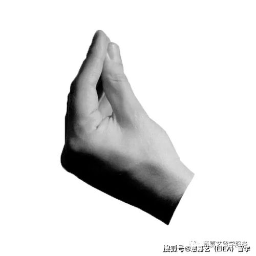 意大利手势含义图解大全，意大利手势emoji复制