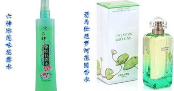 芳香和芬香的区别