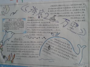 海底两万里手抄报写什么