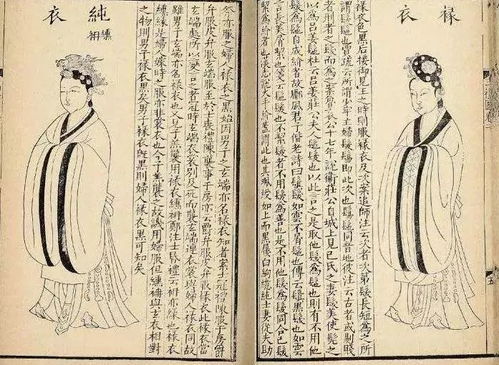 衣袂读音mie，媪妪怎么读