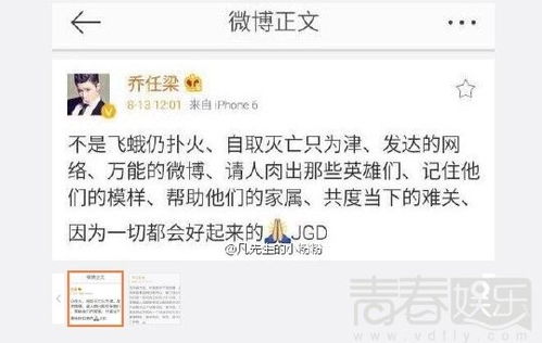 觅的意思 觅的意思是什么