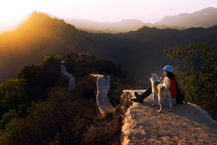 悠远的天空,在苍穹的尽头,诉说不被承认的恋情，悠远的歌声