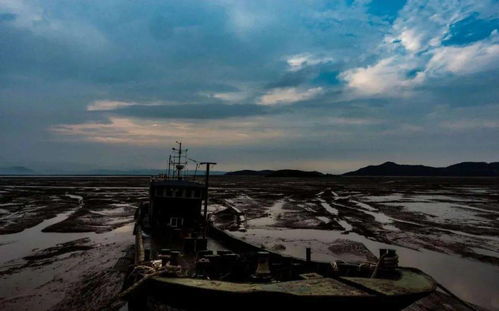 风号浪吼的意思是什么 词语风号浪吼什么意思