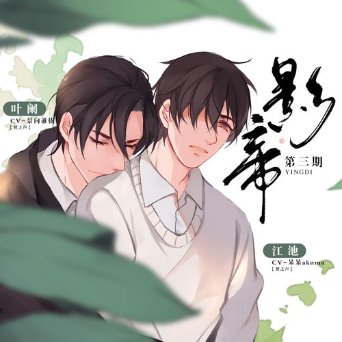 FT在广播剧是什么意思，dm广播剧是什么意思