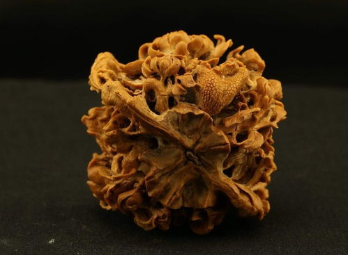 《核舟记》原文及对照翻译