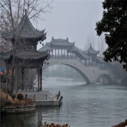 天上人间指什么生肖动物，天上人间是什么生肖买马