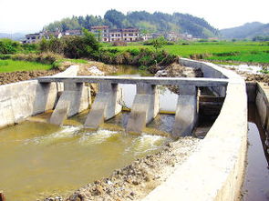 堤怎么拼音怎么拼写?