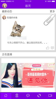 觅的意思和拼音，拗的意思