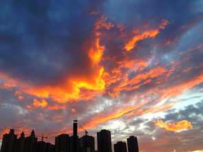 瑰丽无比的意思