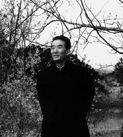 马南邨简介，马南邨为笔名在北京晚报副刊五色土开设什么专栏