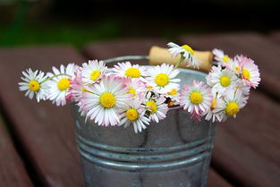 悼念刚离去的亲人句子，秋天悼念逝者的句子